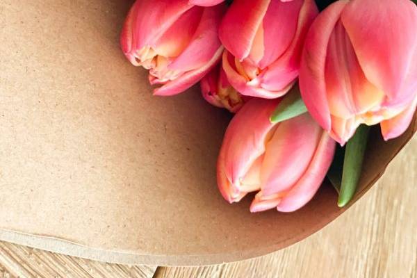 Tulipanes de temporada