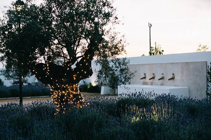 Cortijo Olivar de la Sargenta