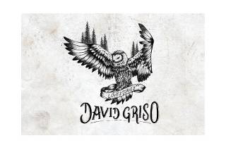 David Griso