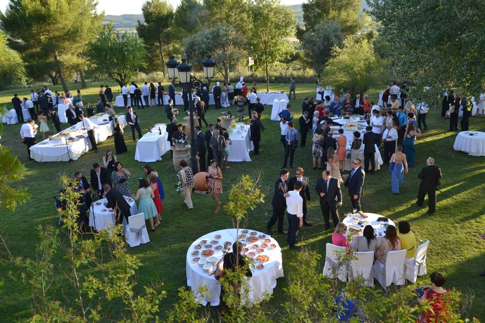 Aperitivo del aire libre