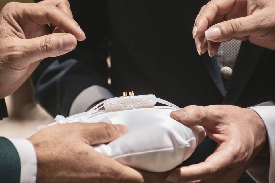 Anillos