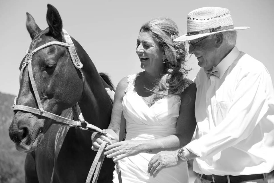 Bodas