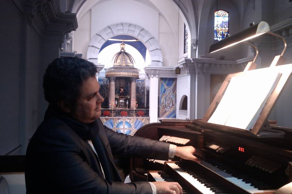 Organista