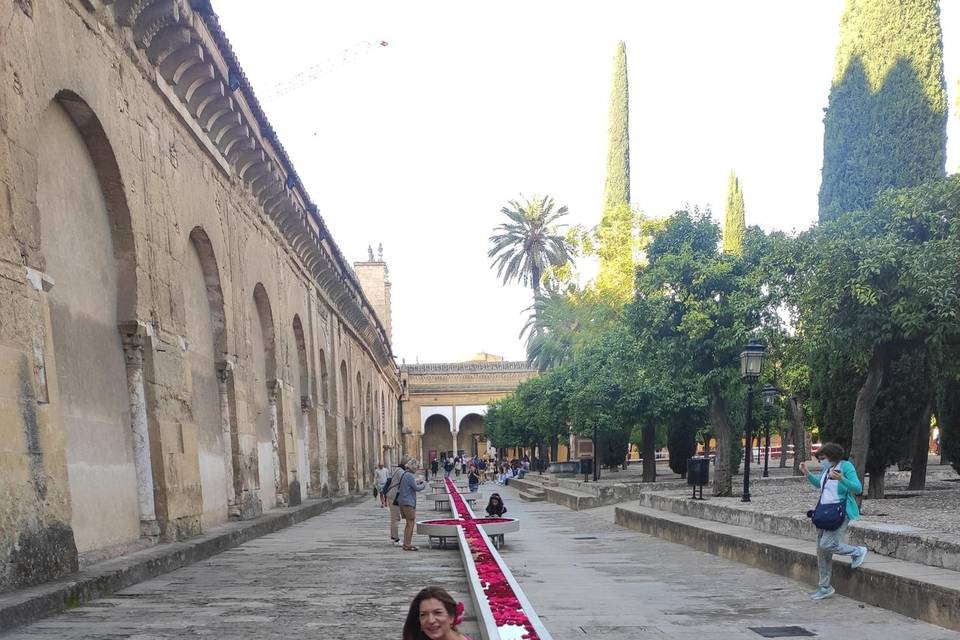 Patio de los Naranjos Córdoba