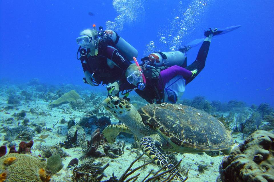 Buceando en Playa del Carmen