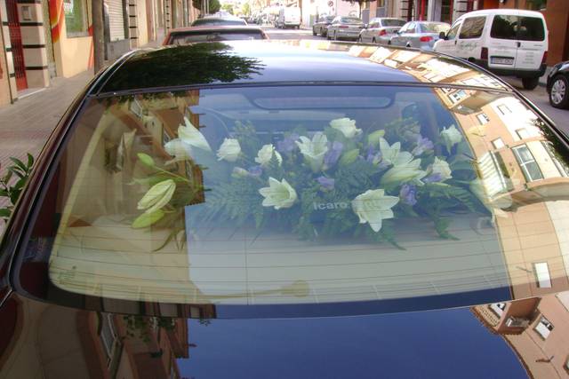 Decoración de vehículos