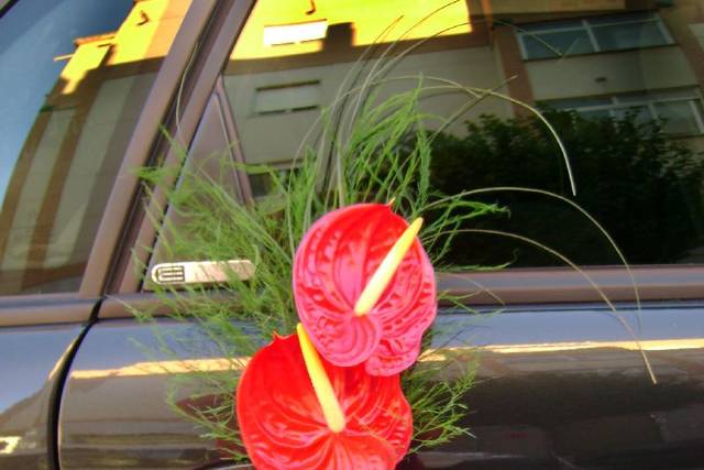 Detalles para el coche