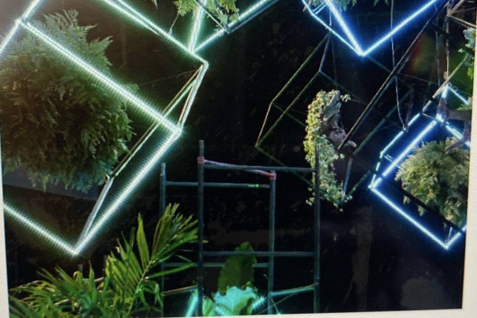 Diseño, luz y celebración