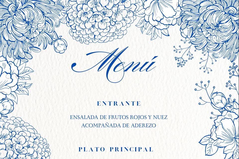 Diseño de minuta