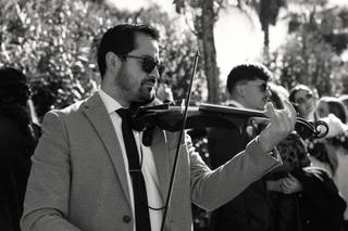 Dmviolin