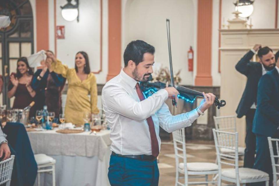 Violin durante la comida