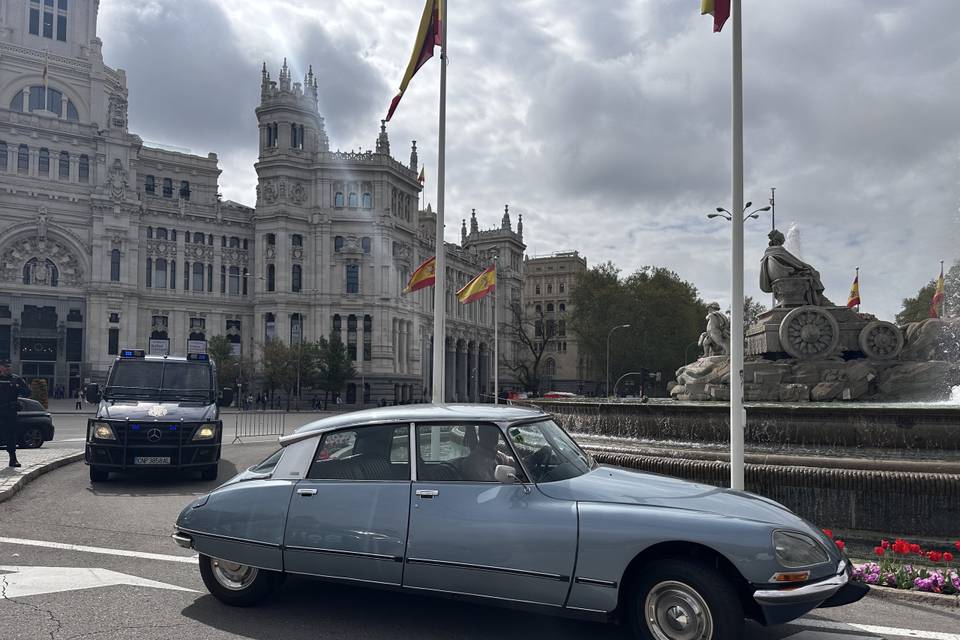 Tiburón DS23 Cibeles