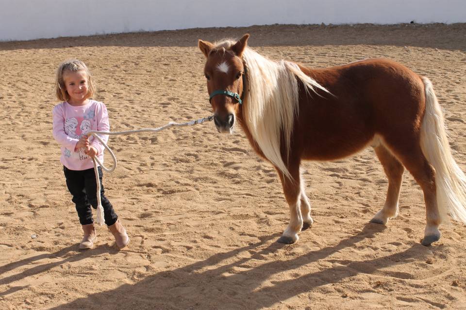 Niña con pony paseando