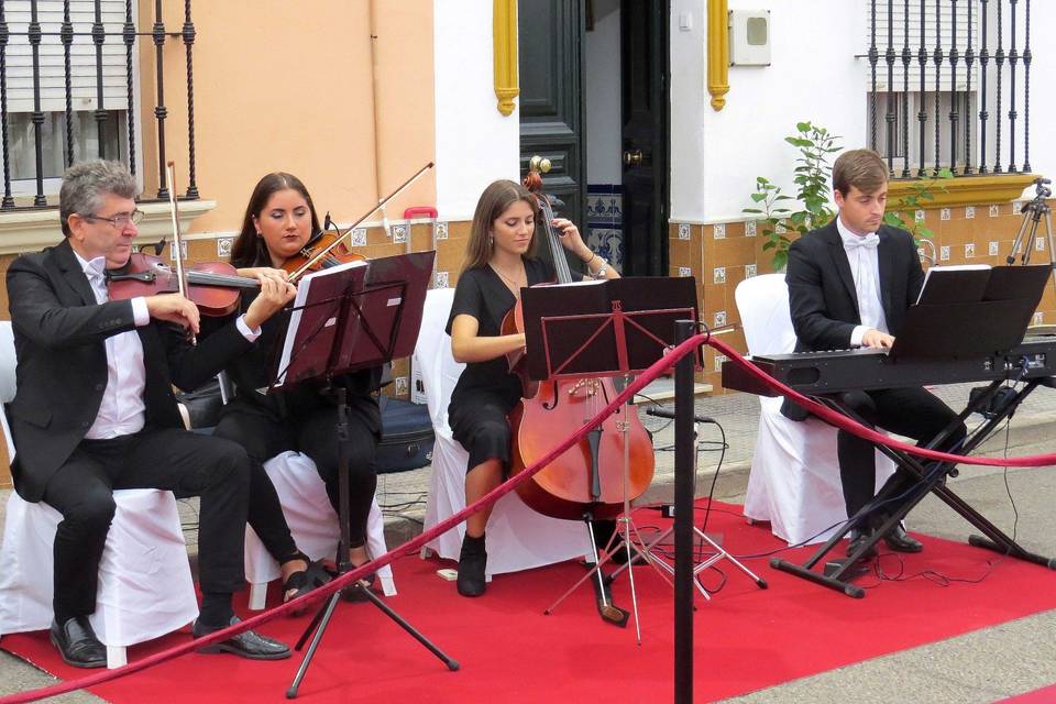 Trío de violín, chelo y piano