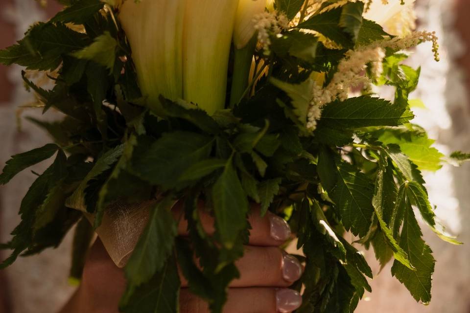 Boda en Ourense