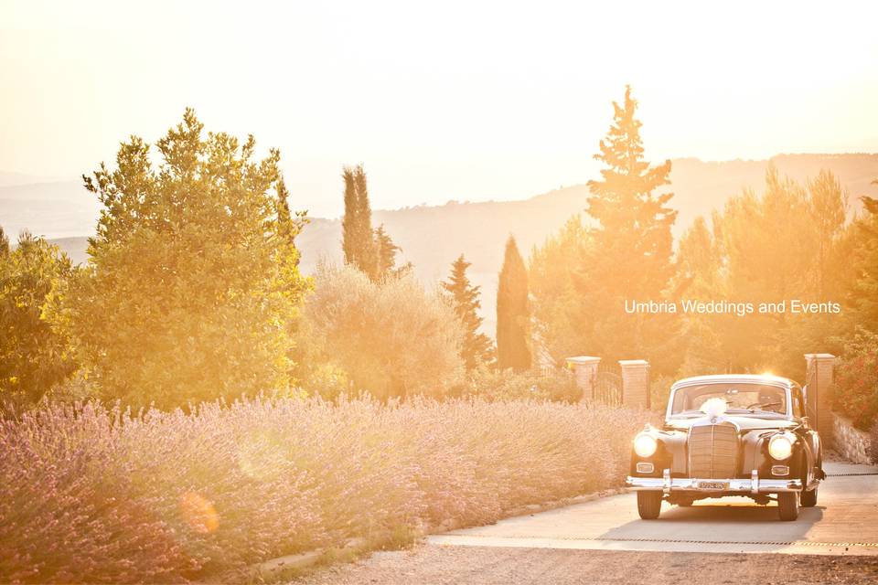 Coche de boda