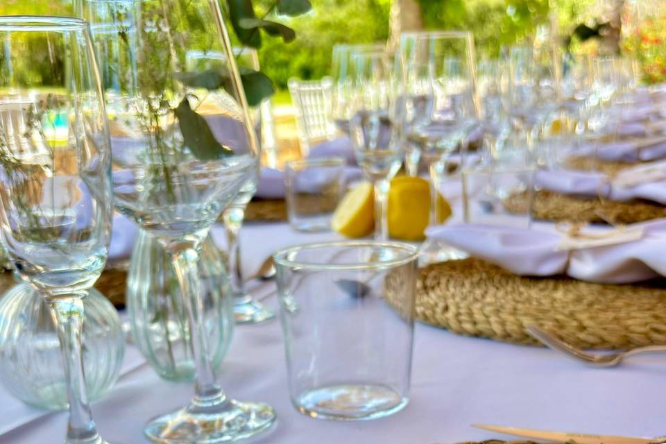 Anyma Eventos