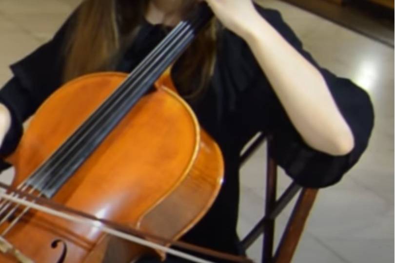 Violonchelo