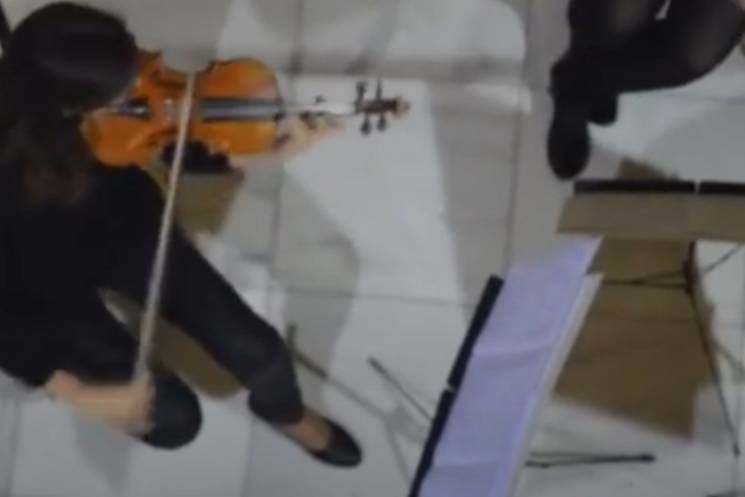 Violín