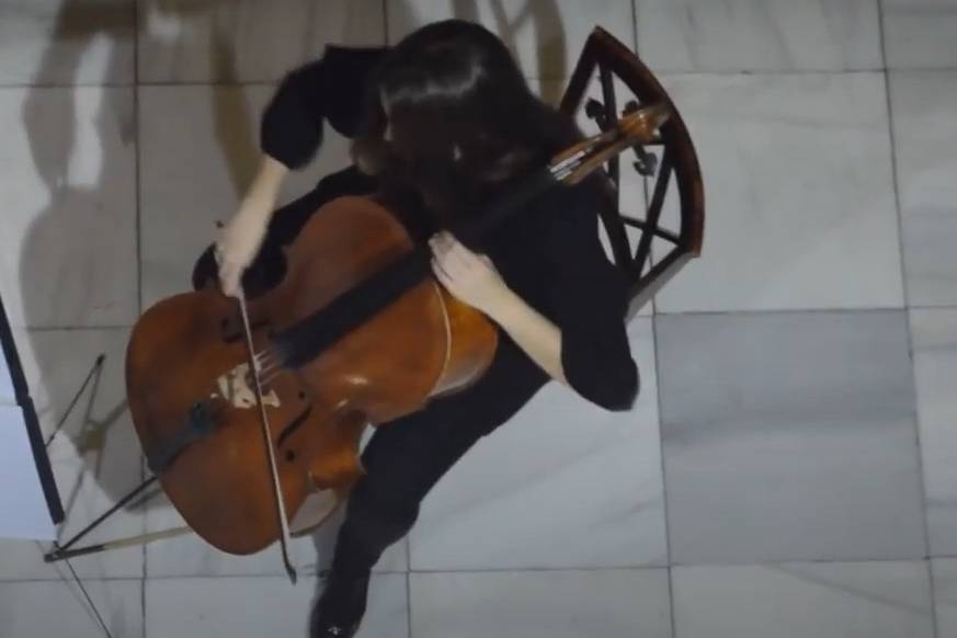 Violonchelo