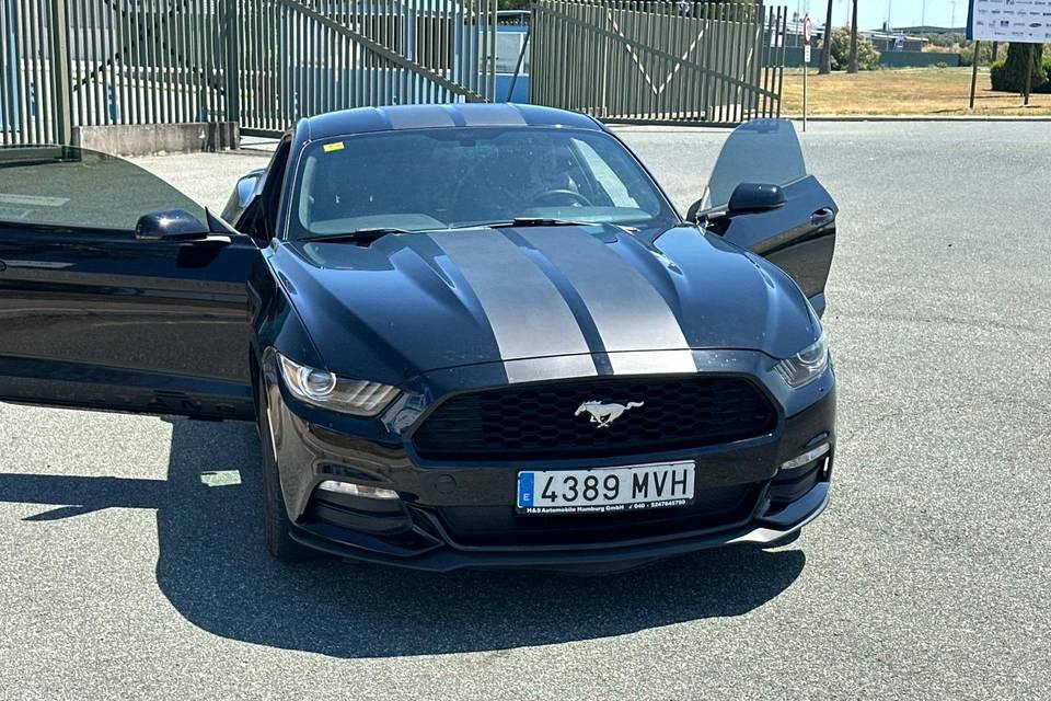 Santi motor