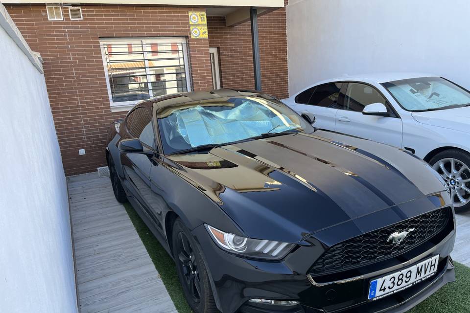 Ford mustang