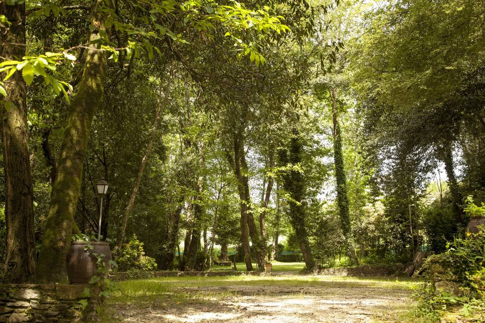 Finca Aldea Grande
