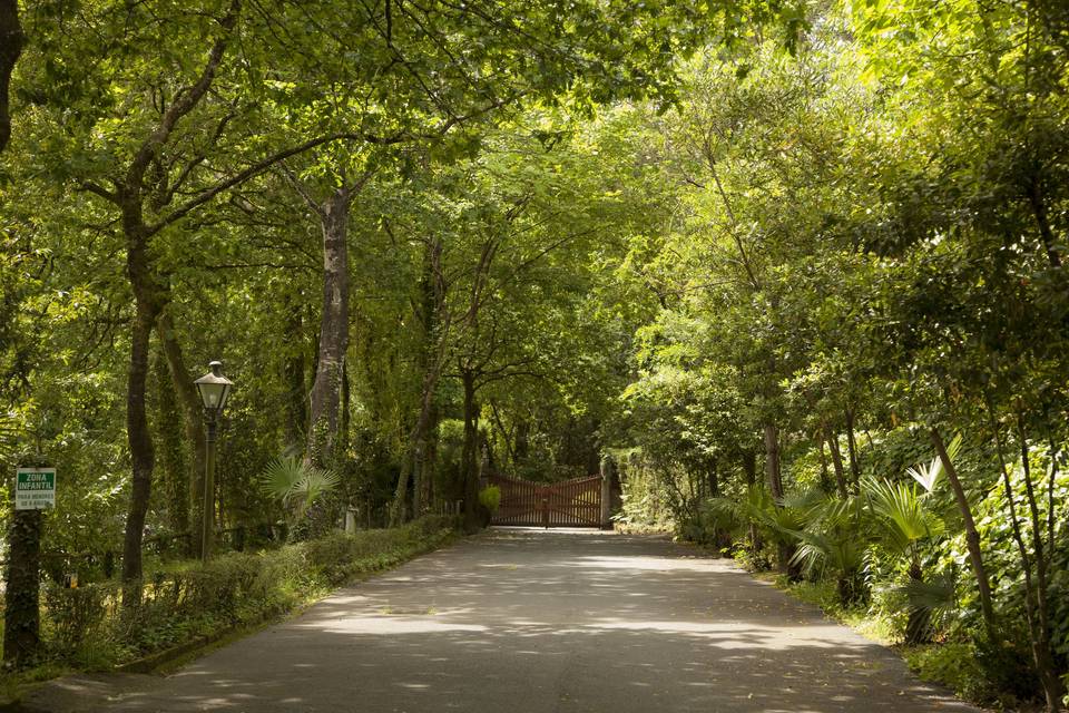 Finca Aldea Grande