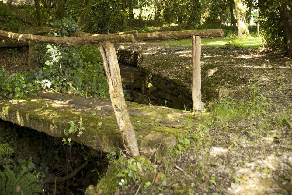 Finca Aldea Grande