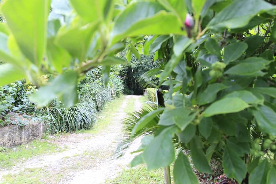 Finca Aldea Grande