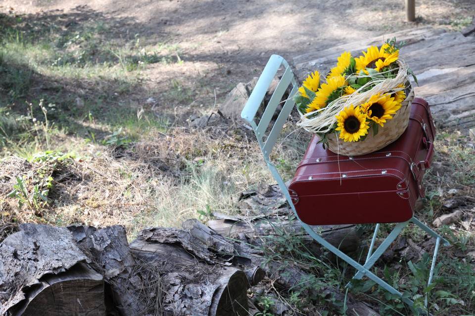 Ceremonia en el bosque