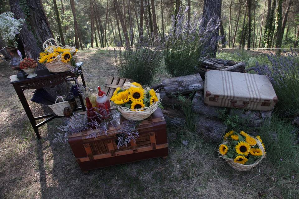 Ceremonia en el bosque