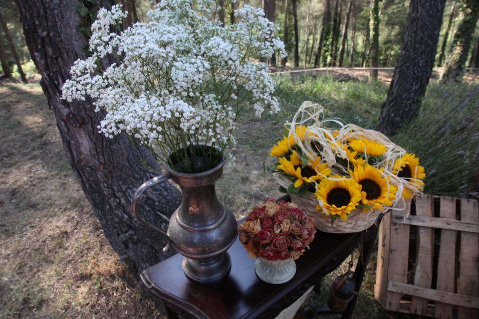 Ceremonia en el bosque