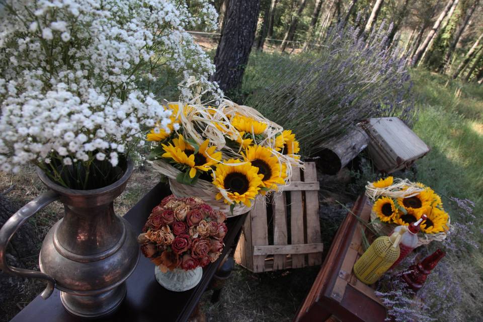 Ceremonia en el bosque