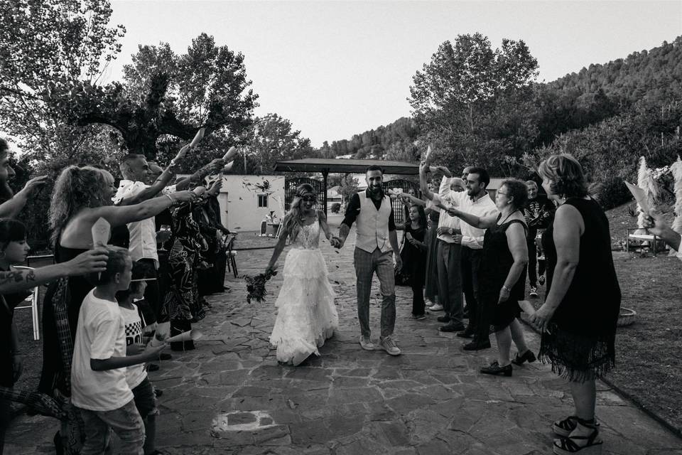 Novios