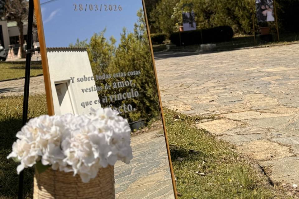 bienvenidos