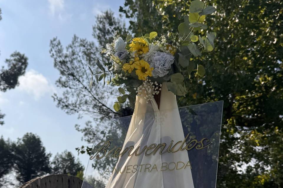 bienvenidos
