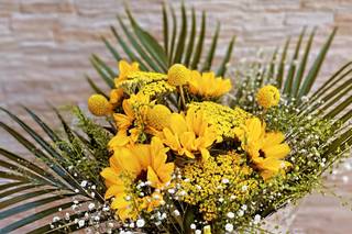 Events Floratropic