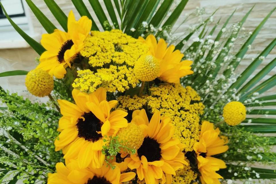 Girasoles