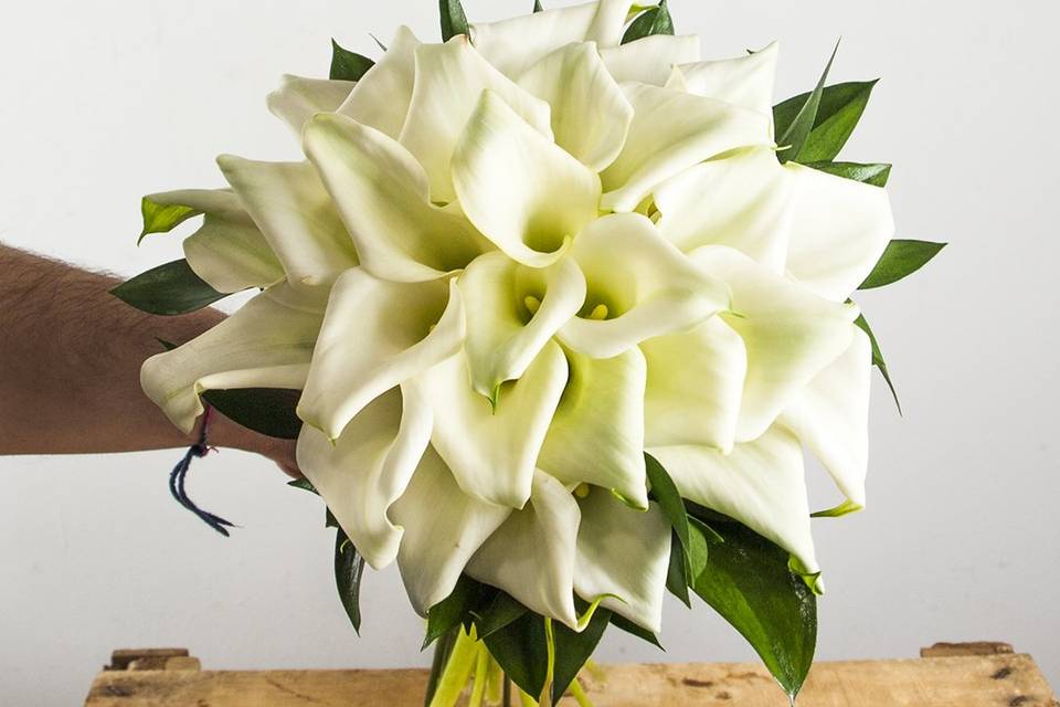 Bouquet de calas blancas
