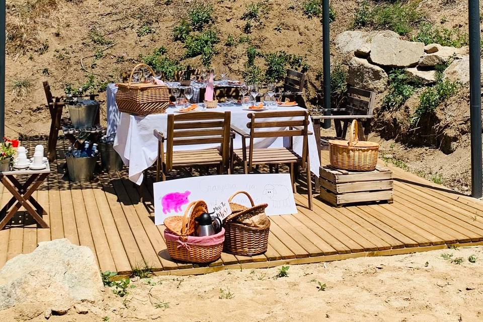 Picnic entre viñedos