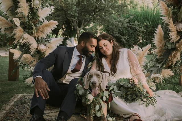Sueños de boda