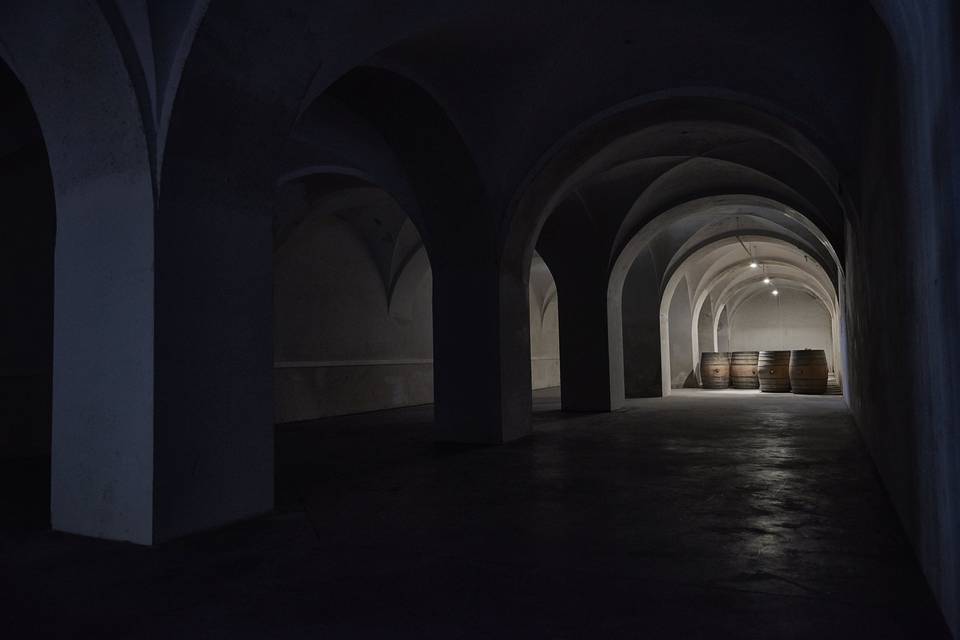 Bodegas