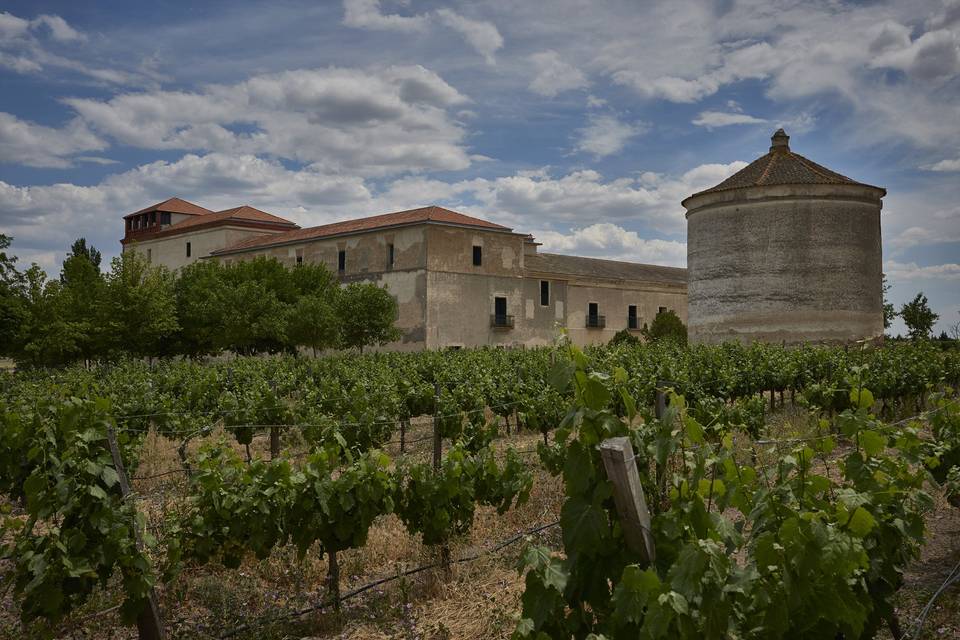 Bodega y Palomar de la Reina