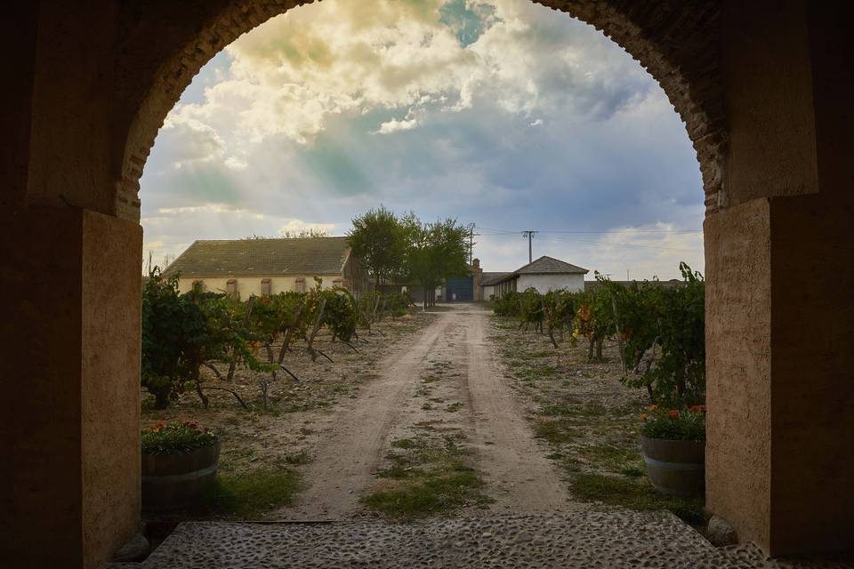 Atardecer en La Mejorada