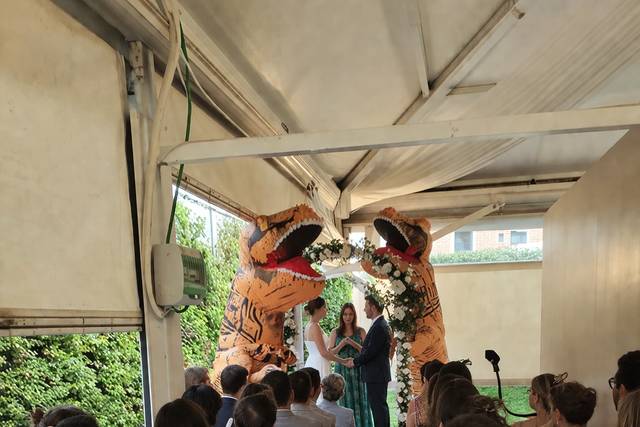Dreamwebmedia foto boda