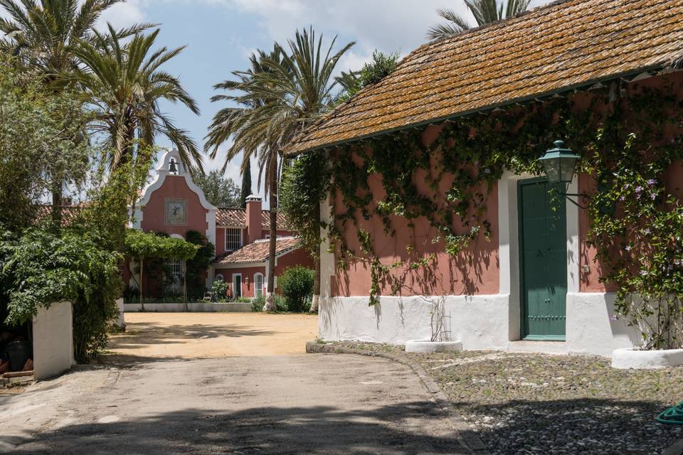 Entrada