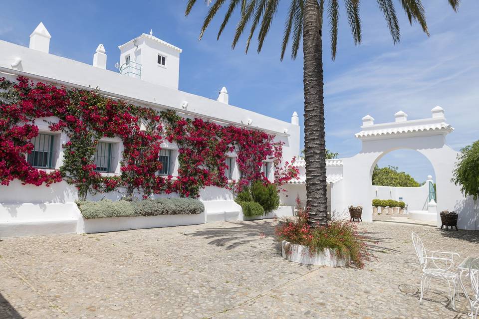 Patio de Palmera