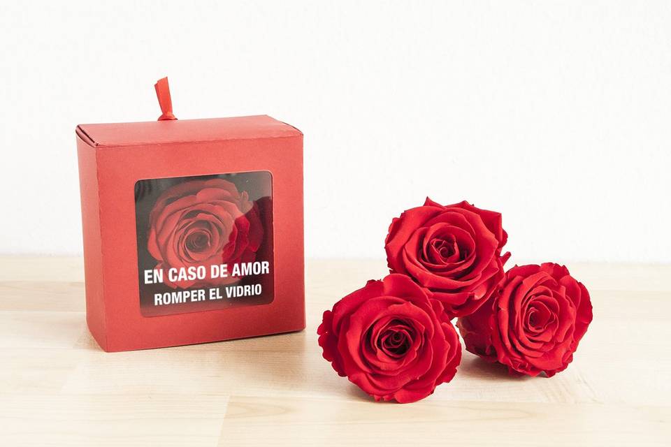 Regalos invitados- rosa