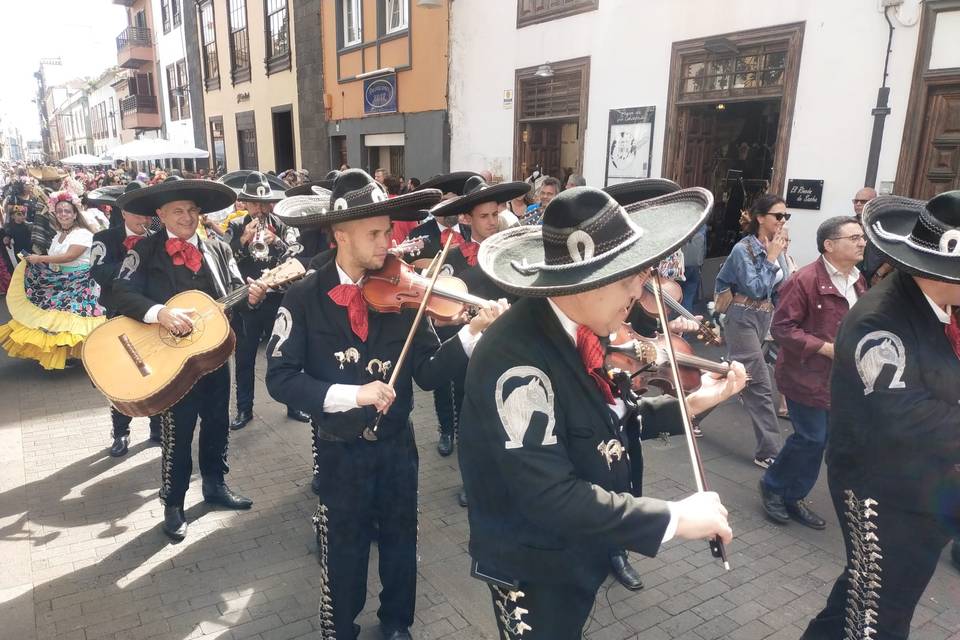Pasacalle
